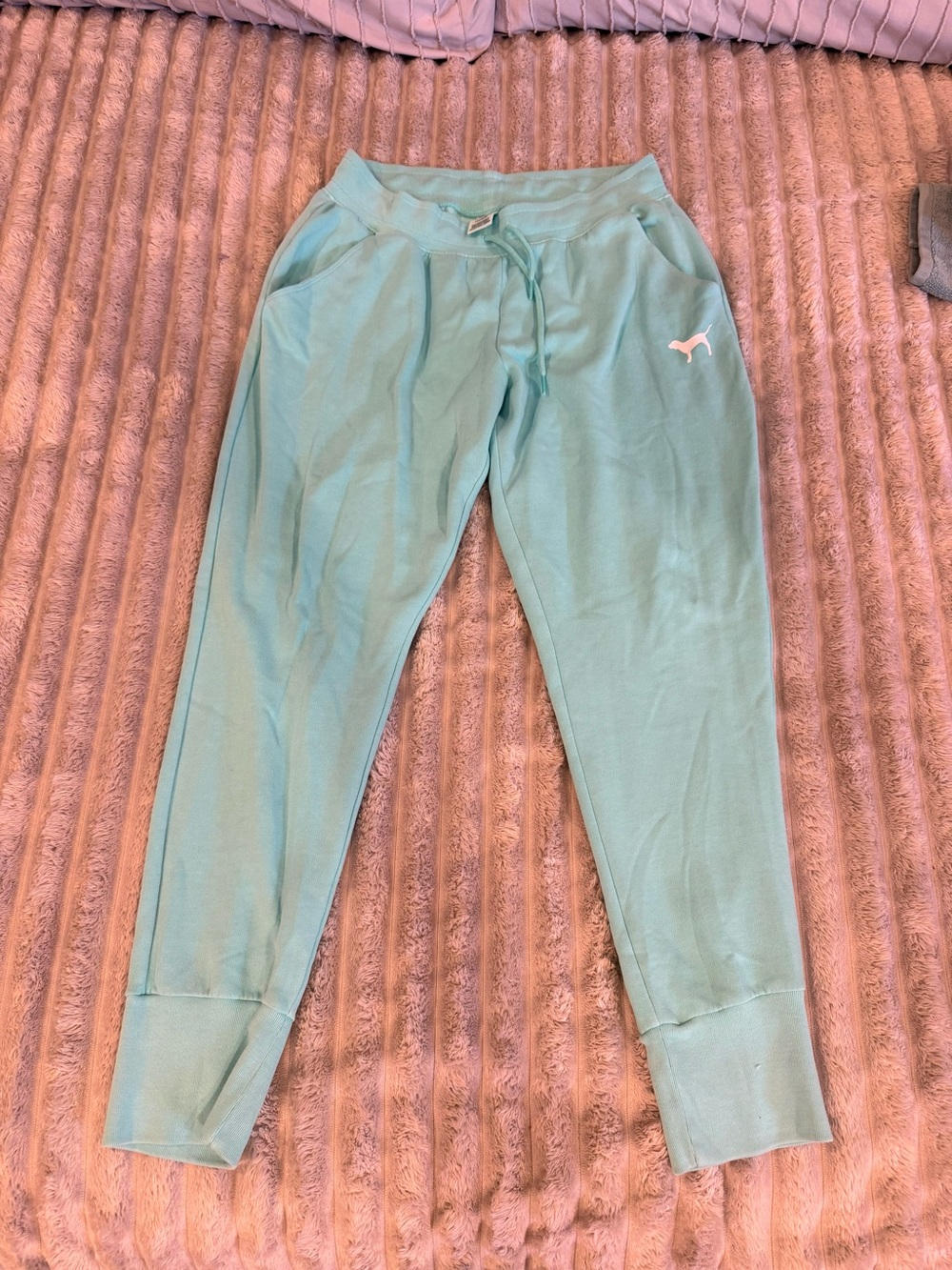 PINK Victoria's Secret Teal Drawstring Joggers